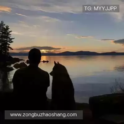 谭忱琚